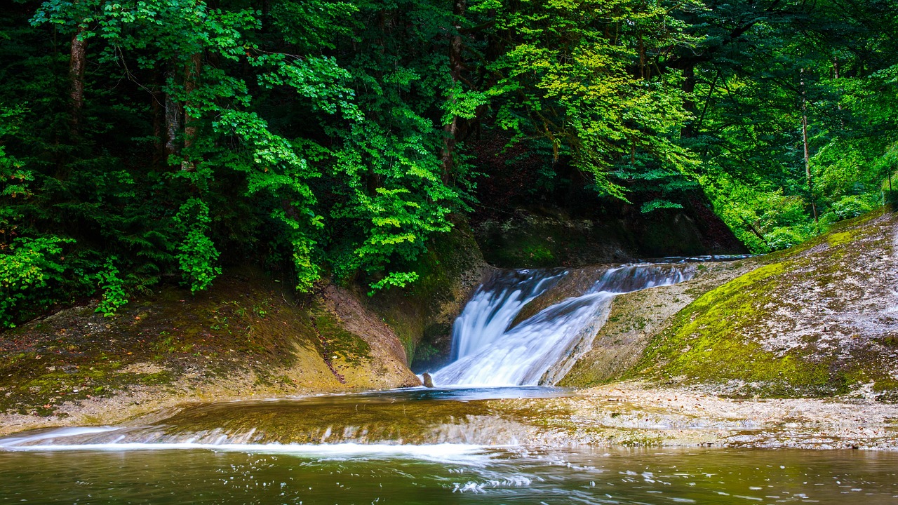 西湖景区限行扣分，保护美景，共筑和谐