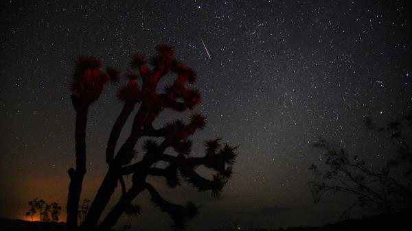 英仙座流星雨将于8月11日至13日达到高峰:约书亚树为成群的观星者做准备 