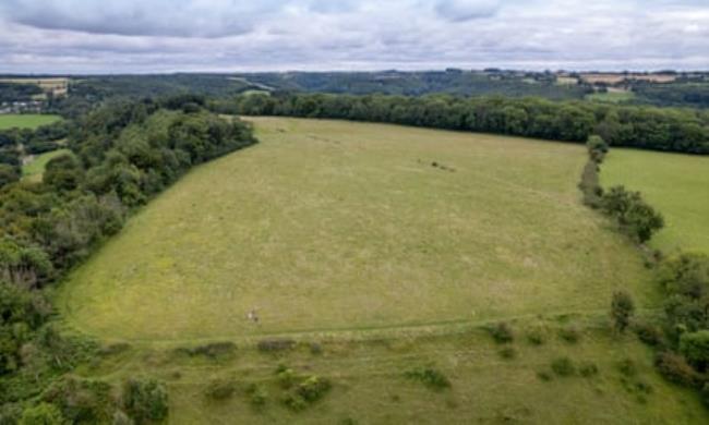 A view of the wildflower meadow Juniper Hill Field near Slad in the Cotswolds