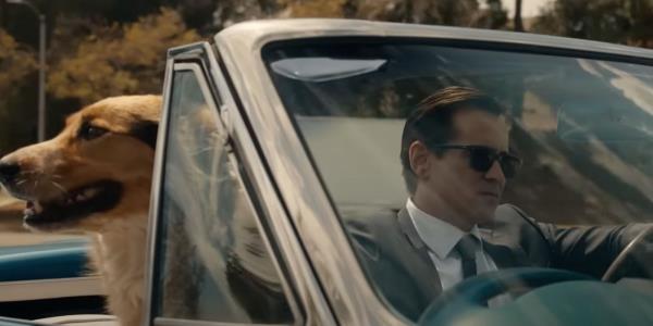 Colin Farrell driving a car while petting a dog in Sugar